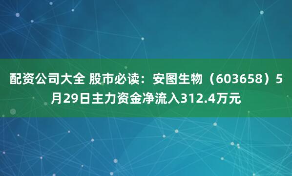 配资公司大全 股市必读：安图生物（603658）5月29日主力资金净流入312.4万元